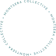 Circle Montsera collective logo